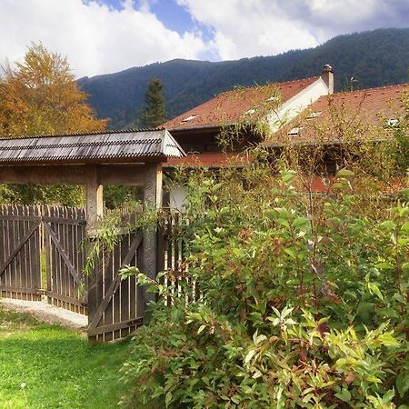 Casa Ferica Villa Azuga Exterior foto